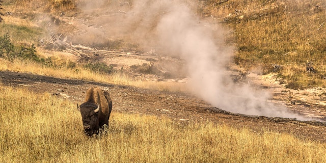 West Yellowstone-0