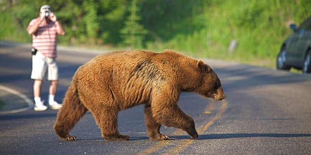 West Yellowstone-2