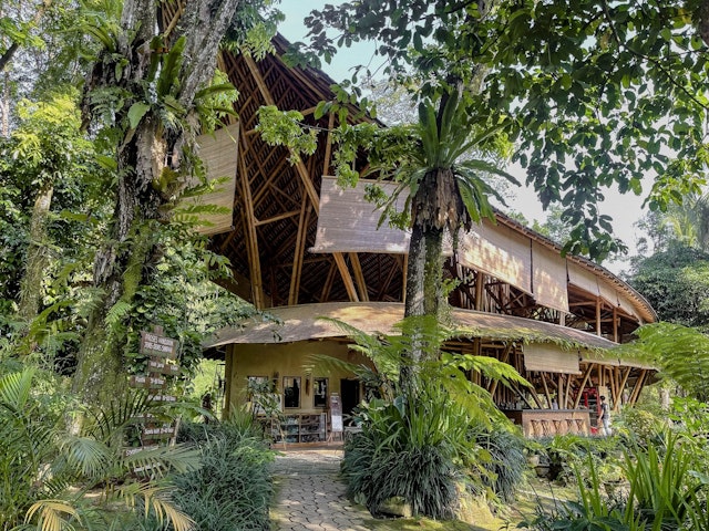 Ecolodge Bukit Lawang