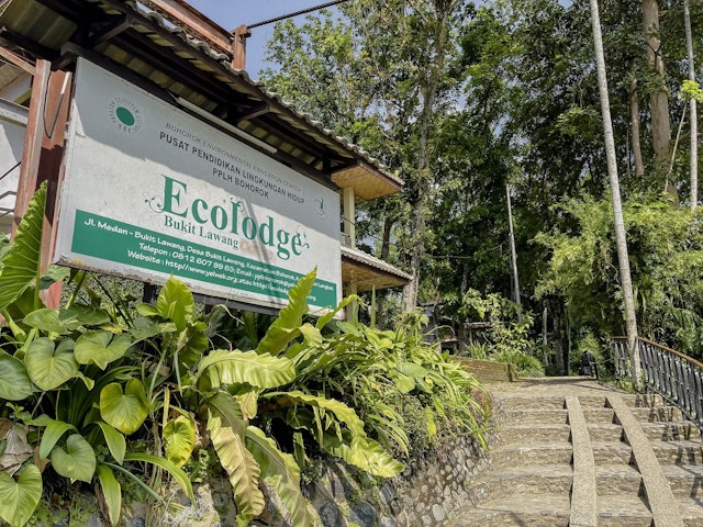 Ecolodge Bukit Lawang