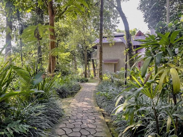 Ecolodge Bukit Lawang