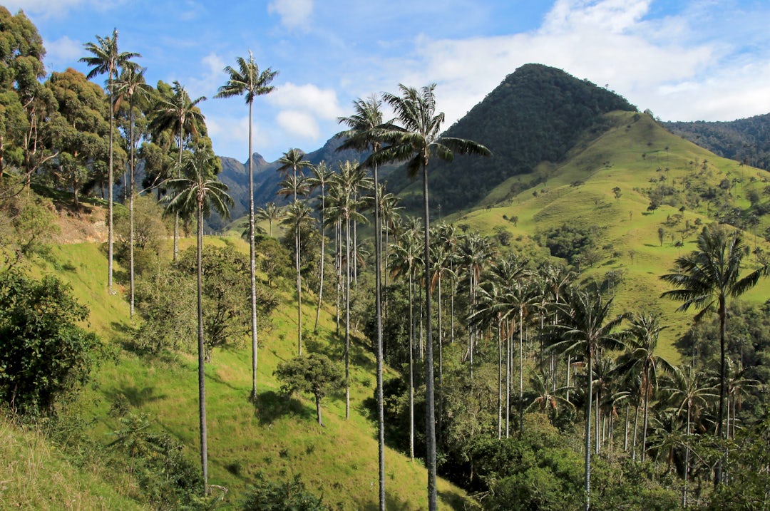 15 jours en Colombie avec petit budget