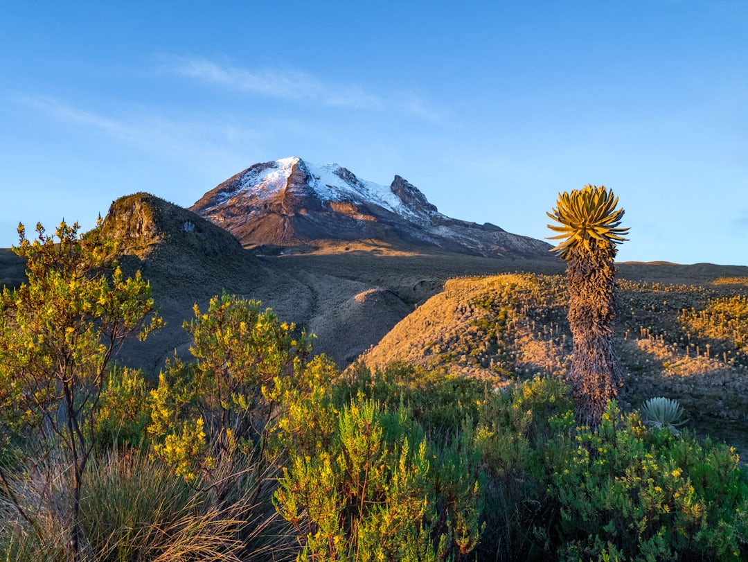 Kolumbien von Bogotá nach Cartagena bereisen