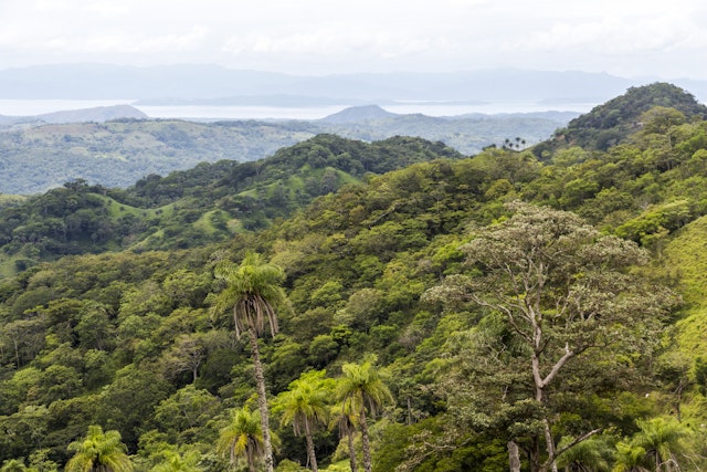 Costa Rica-Rundreise: 1 Woche