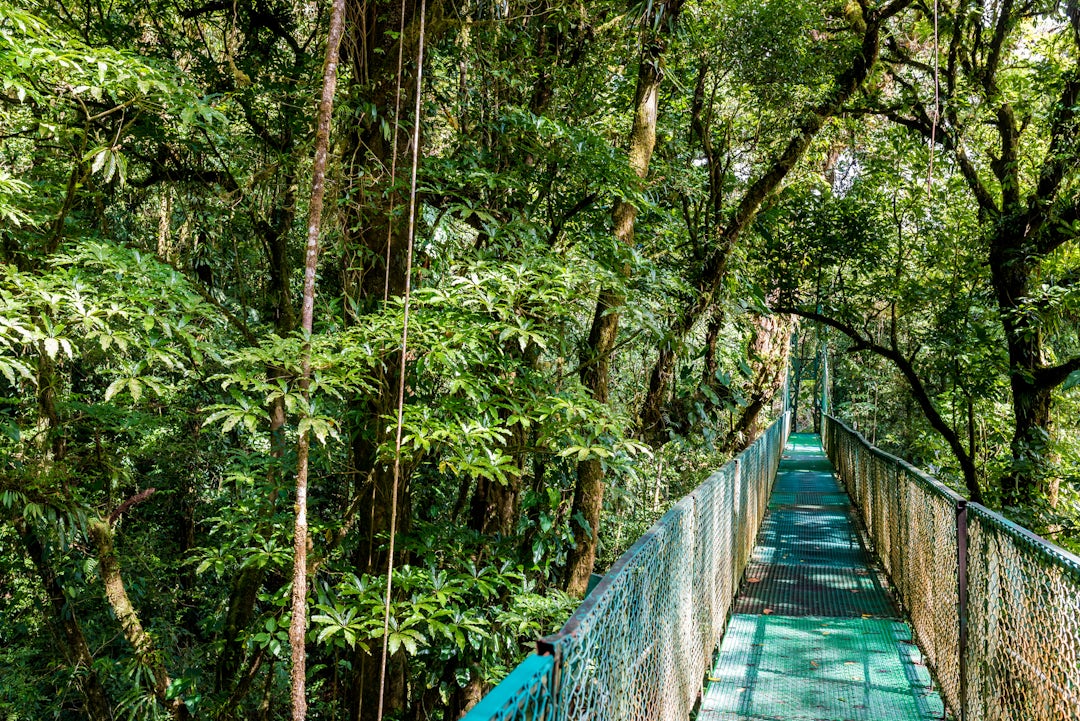 Aventure authentique au Costa Rica
