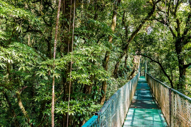 Santa Elena-2