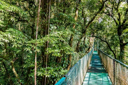 Costa Ricas Regenwald & Strände - Image 3