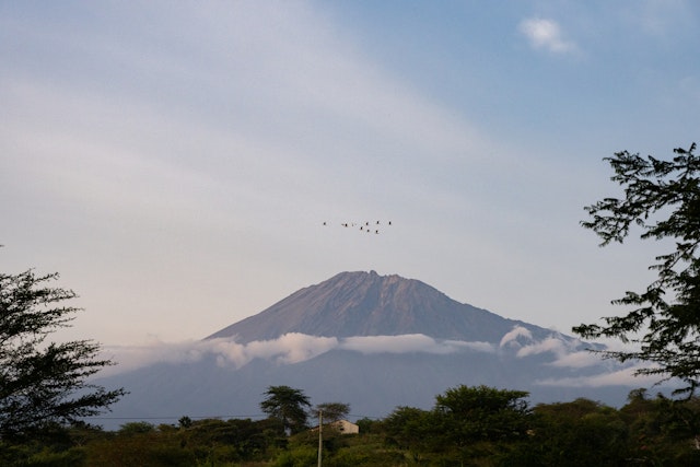 Arusha-5