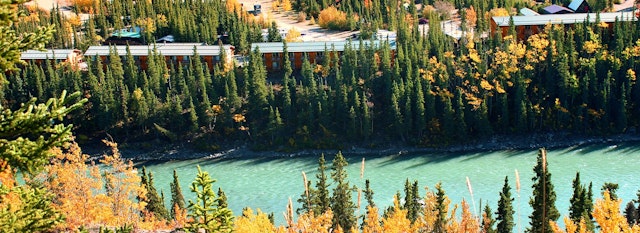 Denali Grizzly Bear Resort