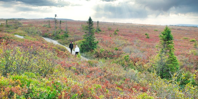Kejimkujik National Park-0