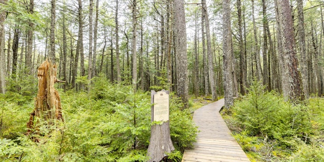 Kejimkujik National Park-2