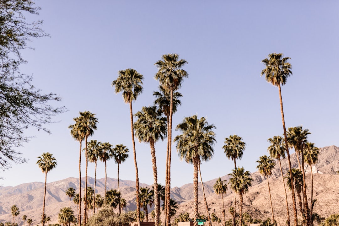 Californie mythique en 12 jours