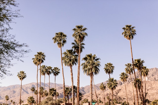 Palm Springs-0