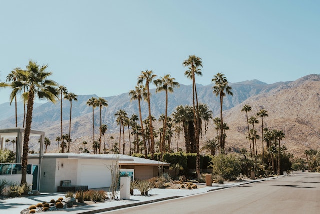 Palm Springs-3