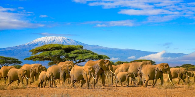 Mount Kilimanjaro-9