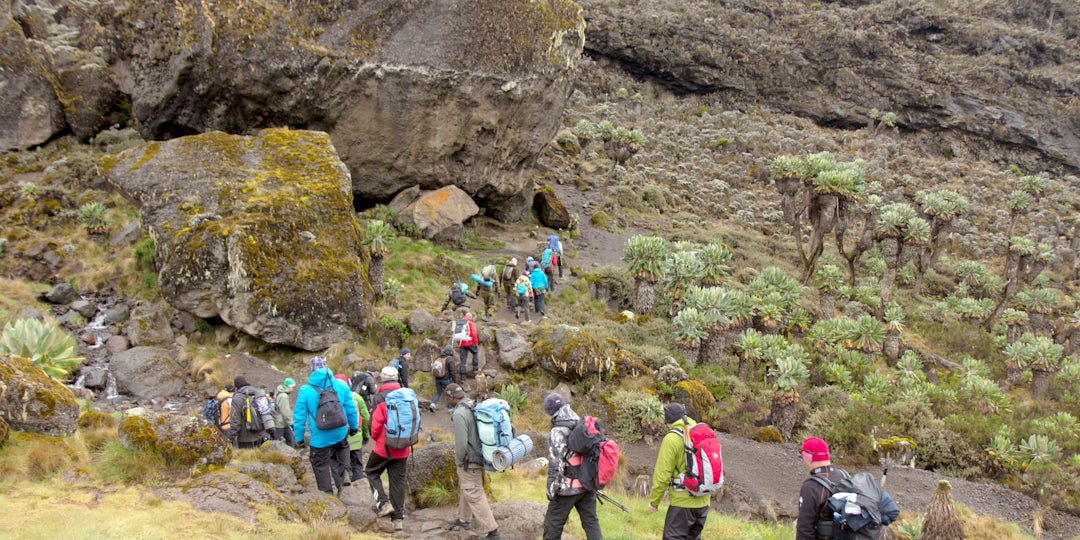 Kilimanjaro Reise Abenteuer: das majestätische Dach Afrikas