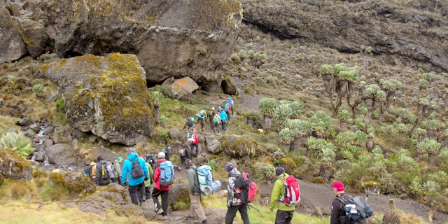 Kilimanjaro Reise Abenteuer: das majestätische Dach Afrikas