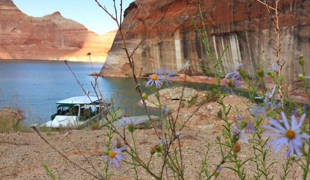 Lake Powell Resorts & Marinas Wahweap RV & Campground