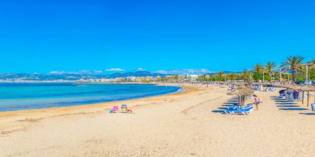 Palma-4