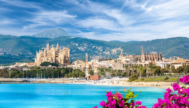 Palma-0