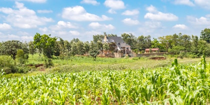 10 Tage Kenia: Masai Mara und Strand - Image 3