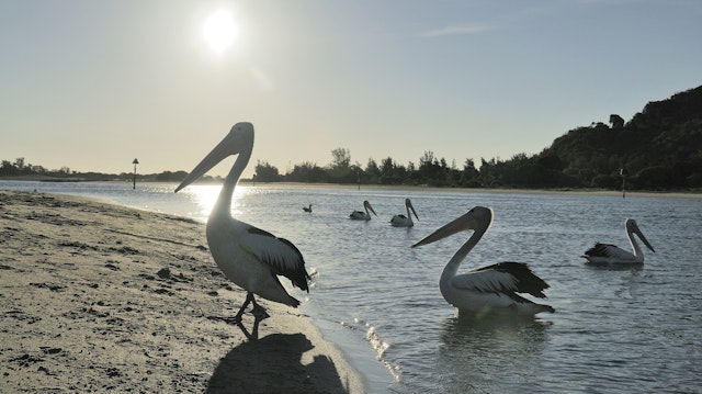 Lakes Entrance-5