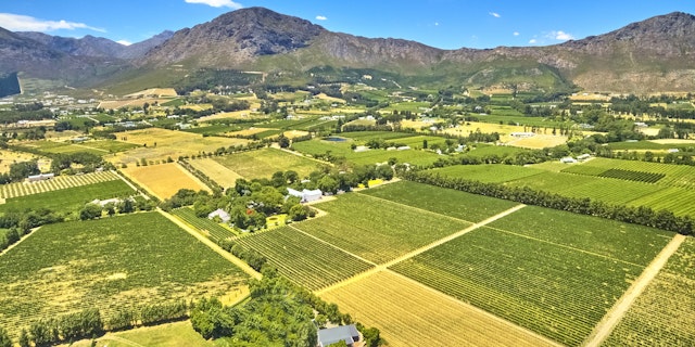 Garden Route-Safari: Wildes Südafrika entdecken