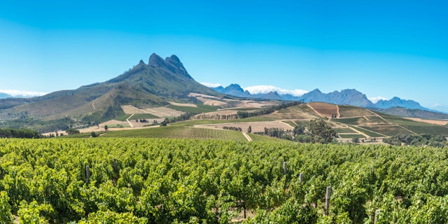 Wein, Zederberge und kapholländische Architektur