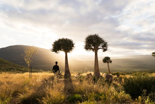 Cederberg Ridge