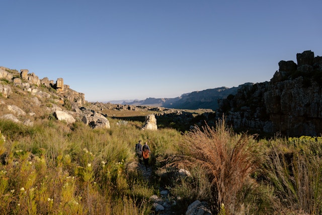 Cederberg Ridge