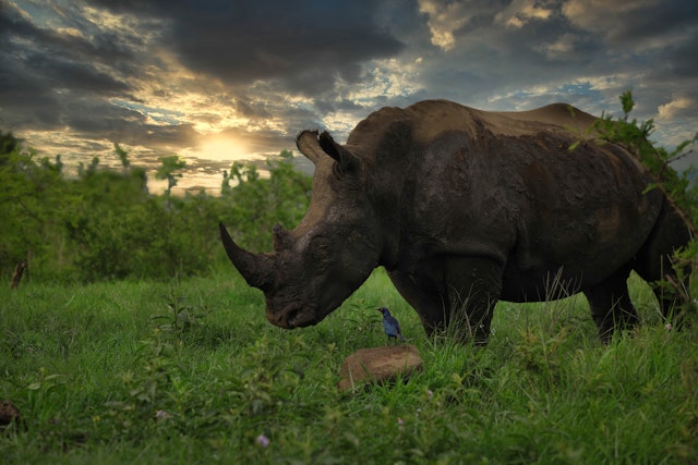 Hluhluwe–Imfolozi Park-0