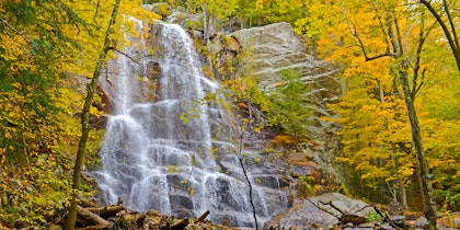 Rundreise durch die USA: New York & Niagarafälle - Image 4