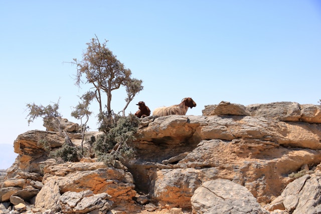 Jebel Shams-6