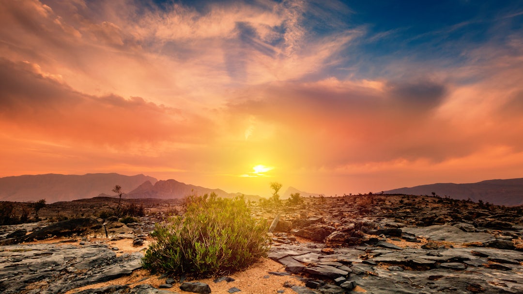 Aventure authentique au cœur d'Oman