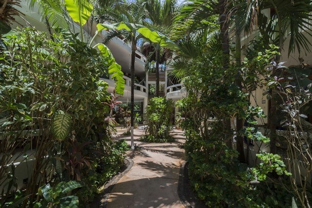 Playa Palms Beach Hotel