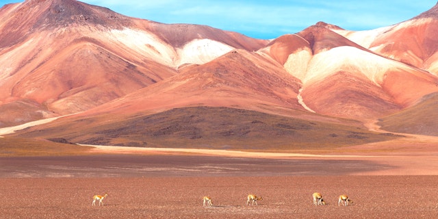 Central Andes Bolivia-0