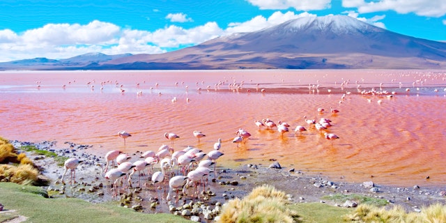 Central Andes Bolivia-2