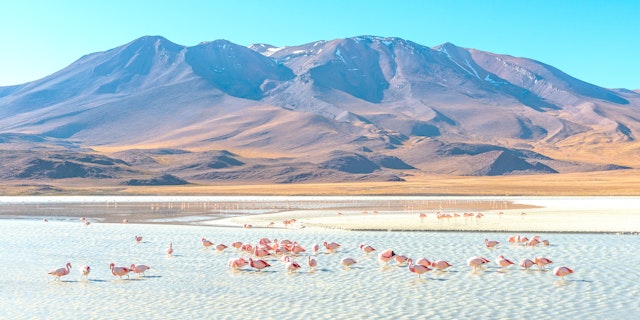 Central Andes Bolivia-5