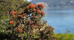 Captain Eady's Lookout