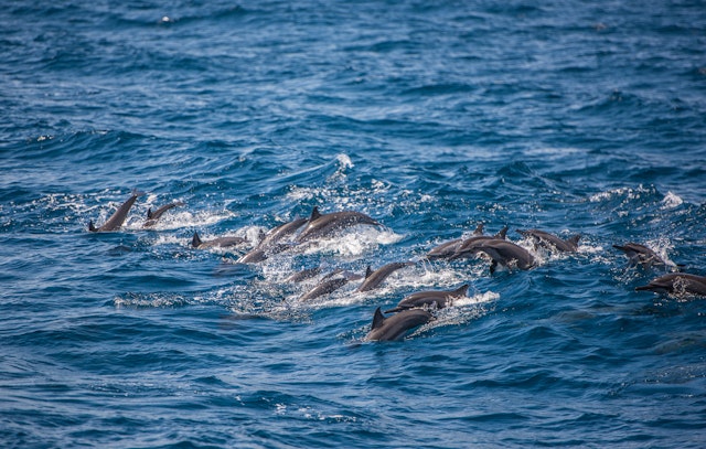 Trincomalee-6