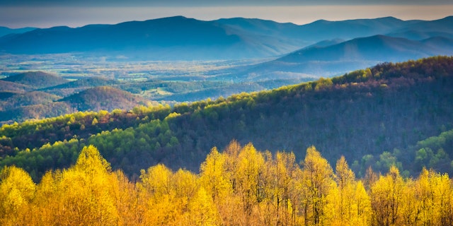 Charlottesville-5