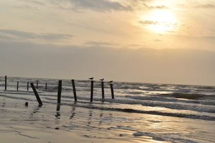 Texas Rundreise 2 Wochen: Ab Dallas mit Ranch - Image 2