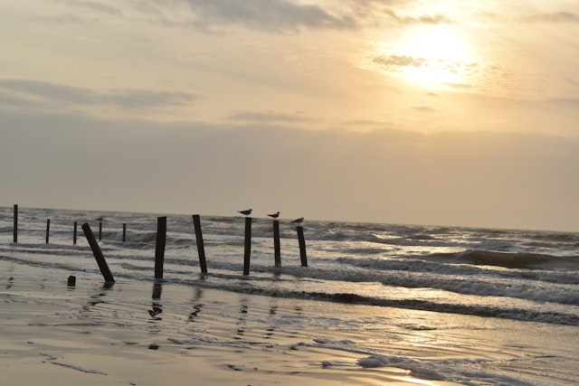 Galveston Island-4