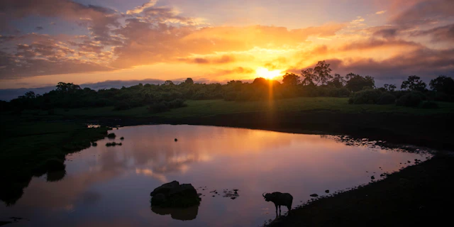 Aberdare-12