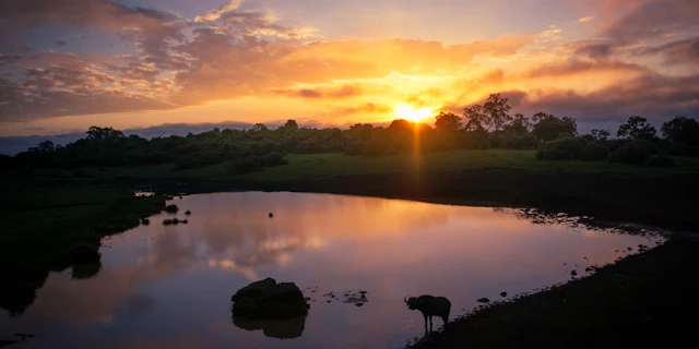 Aberdare-12