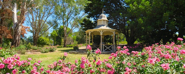 Lyndoch Hill