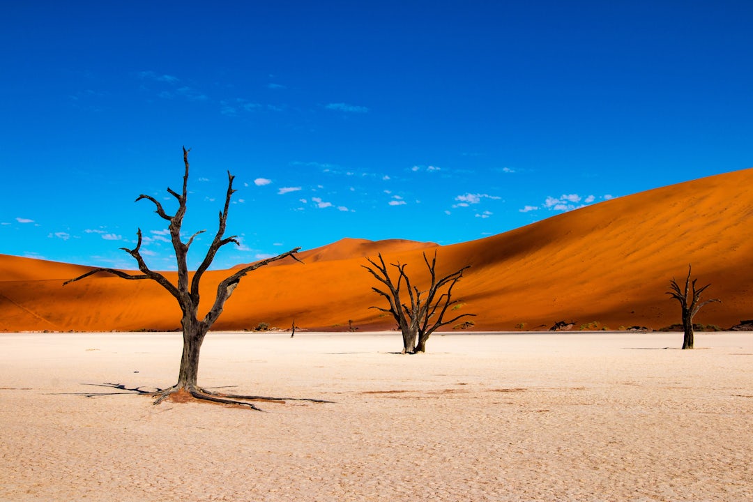 Private Safari in Namibia: wilde & unendliche Horizonte 
