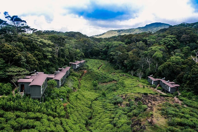 The Rainforest Ecolodge