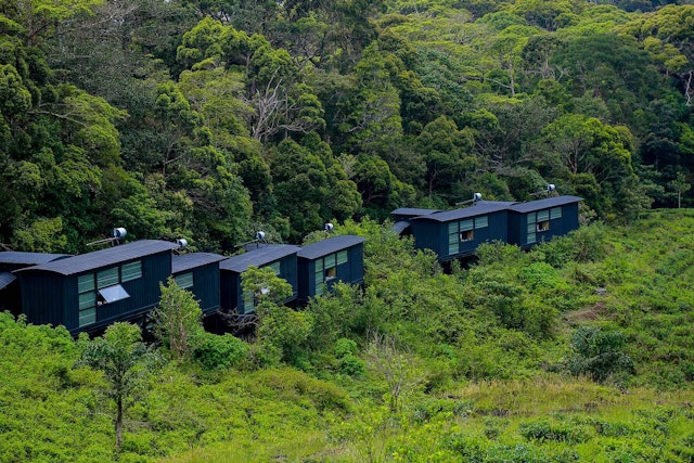 The Rainforest Ecolodge