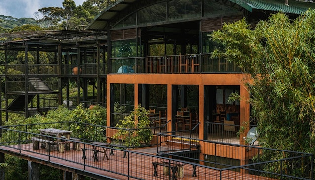 The Rainforest Ecolodge